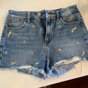 American Eagle Embroidered Flower Cutoff Shorts